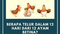 Kalau 3 ayam betina menghasilkan 3 telur dalam 3 hari, berapa banyak telur yang dihasilkan oleh 12 ayam betina dalam 12 hari? (Foto: detikcom) 