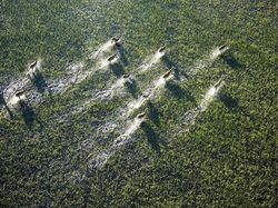 Deretan Foto Hewan yang Membuat Mata Terperangah