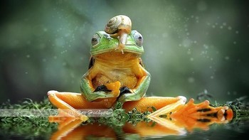 Karya Yan Hidayat. Foto: Viewbug