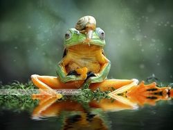 Deretan Foto Hewan yang Membuat Mata Terperangah