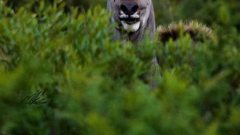 Karya Mattjkennedy.  Foto: Viewbug