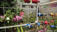 Kebun hidroponik itu dikelola oleh warga setempat.