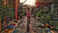 Kampung Papanggo juga asri.