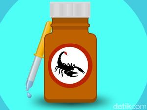 Selain Racun Kalajengking, Ini Racun Hewan Lainnya yang Bisa Jadi Obat