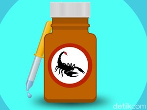 Selain Racun Kalajengking, Ini Racun Hewan Lainnya yang Bisa Jadi Obat