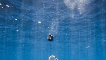 Karya Piavenegas. Camera: Canon EOS 5D Mark II, Aperture: f/8, ISO: 200, Shutter Speed: 1/160, Focal Length: 22/1. Foto: Viewbug 