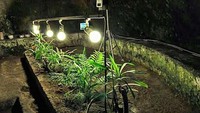 Di poles sedemikian rupa, kini Naples Underground menjadi destinasi bawah tanah yang sayang untuk dilewatkan. Karena Taman Hypogeum pertama di dunia dapat ditemukan di sini (giarraffamassimo/Instagram)