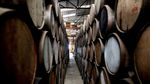 Melihat Proses Pembuatan Tequila Tradisional di Meksiko