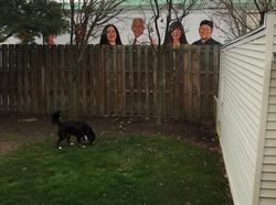 Deretan Foto Ini Wajib Dilihat Dua Kali