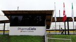 Melihat Proses Budidaya Ganja untuk Kesehatan di Kolombia
