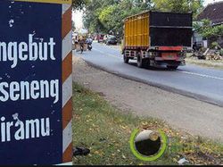 Kocak! Rambu Peringatan yang Bikin Pengendara Bingung