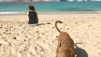 Terlihat seekor anjing yang menjadi temannya di pantai. Foto: Instagram Aura Kasih