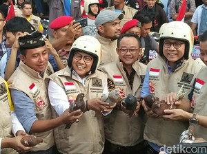 Tanggapan Dingin Koalisi Jokowi atas Saran Perjodohan Zulkifli