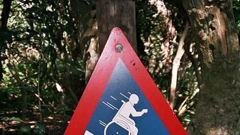 Awas ada buaya. (Foto: Boredpanda)