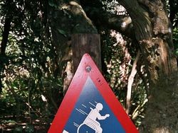 Kocak! Rambu Peringatan yang Bikin Pengendara Bingung