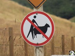 Kocak! Rambu Peringatan yang Bikin Pengendara Bingung