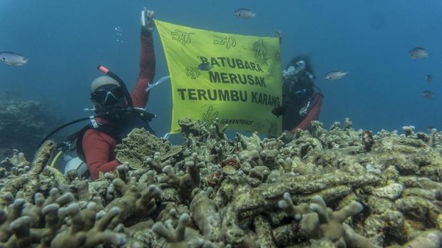 Aktivis lingkungan memprotes lalu lintas kapal tongkang batu bara yang merusak terumbu karang di Taman Nasional Karimun Jawa.