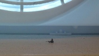 Tampak seperti lautan, padahal ini hanyalah jendela. (Foto: Brightside)