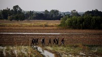 Beberapa orang imigran Suriah terlihat sedang berjalan setelah menyeberangi sungai Evros, jalur natural pembelah 2 negara Turki dan Yunani. Alkis Konstantinidis/Reuters.