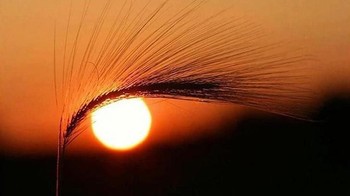 Seperti mata alam. (Foto: Brightside)