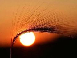 Deretan Foto Ini Wajib Dilihat Dua Kali