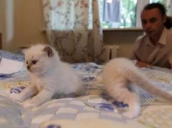 Deretan Foto Ini Wajib Dilihat Dua Kali