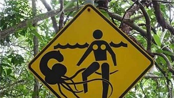 Ada yang mengerti maksudnya apa? (Foto: Internet)