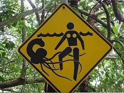 Kocak! Rambu Peringatan yang Bikin Pengendara Bingung