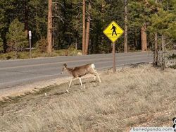 Kocak! Rambu Peringatan yang Bikin Pengendara Bingung