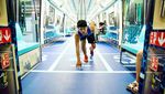 Kereta Ini Disulap Dalam Rangka Sambut Pesta Olahraga, RI Mau Tiru?