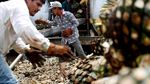 Melihat Proses Pembuatan Tequila Tradisional di Meksiko