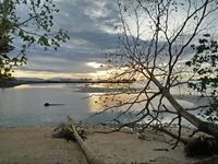 Begitu Banyak Cinta dari Papua Barat