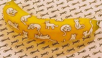 Lucunya kucing-kucing putih ini dilukis, sehingga mirip motif baju yang menggemaskan.  Foto: Instagram @funwithfruit