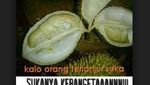 Lihat 10 Meme Durian Ini Bikin Pengen Makan Durian Sambil Senyum Sendiri