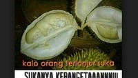 Meme yang satu ini bisa jadi bahan gombal nih. Hayoo mana yang suka gombalin gebetannya? Foto: Istimewa