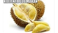 Duriannya gue buka, isinya gue buang, kulitnya gue makan, duh siapa yang begini? Kok malah makan kulit durian. Foto: Istimewa