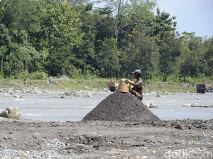 Dilema Pemda Kejar Duit dari Komoditas Vs Jaga Kelestarian Hutan