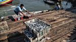 Sebentar Lagi Jakarta Akan Punya Pasar Ikan Seperti di Jepang