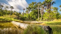 Taman nasional ini dijuluki Africa van Java karena kawasannya benar-benar mirip padang savana di Afrika. Mirip kan sama Wakanda? (Baluran National Park)