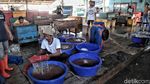 Sebentar Lagi Jakarta Akan Punya Pasar Ikan Seperti di Jepang