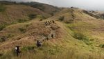 Foto: Bukan Wakanda, Ini di Indonesia