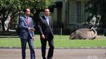 Momen Akrab Jokowi dan PM China di Bogor: Ngobrol hingga Tanam Pohon