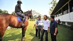 Foto: Jokowi Semangati Atlet Berkuda Asian Games