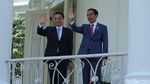 Momen Akrab Jokowi dan PM China di Bogor: Ngobrol hingga Tanam Pohon