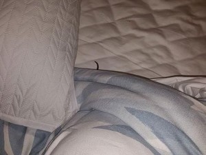 Hiii... Bangun Tidur, Remaja ini Dikagetkan Piton di Kasur