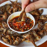 Ini Dia 5 Jenis Ikan yang Sering Dijadikan Lauk Kering Enak Ini Dia 5 Jenis Ikan yang Sering Dijadikan Lauk Kering Enak