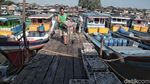Sebentar Lagi Jakarta Akan Punya Pasar Ikan Seperti di Jepang