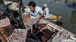 Sebentar Lagi Jakarta Akan Punya Pasar Ikan Seperti di Jepang