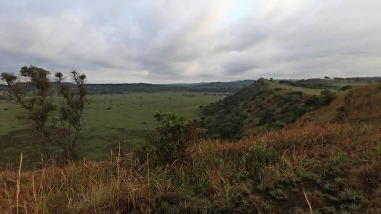 Taman Nasional Queen Elizabeth di Uganda (Google Street View via Channel News Asia) Taman Nasional Queen Elizabeth di Uganda (Google Street View via Channel News Asia)