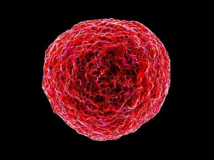 Ilmuwan Peringatkan Kembalinya Ancaman Virus Kuno Kerabat HIV